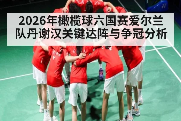 2026年橄榄球六国赛爱尔兰队丹谢汉关键达阵与争冠分析